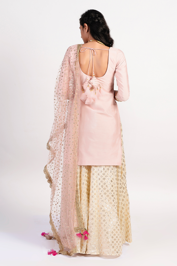 Thumbnail preview #2 for Blush Pink Kurta Set