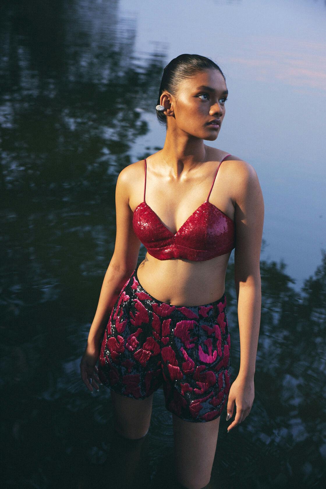 Thumbnail preview #1 for Scarlet embroidered bralette