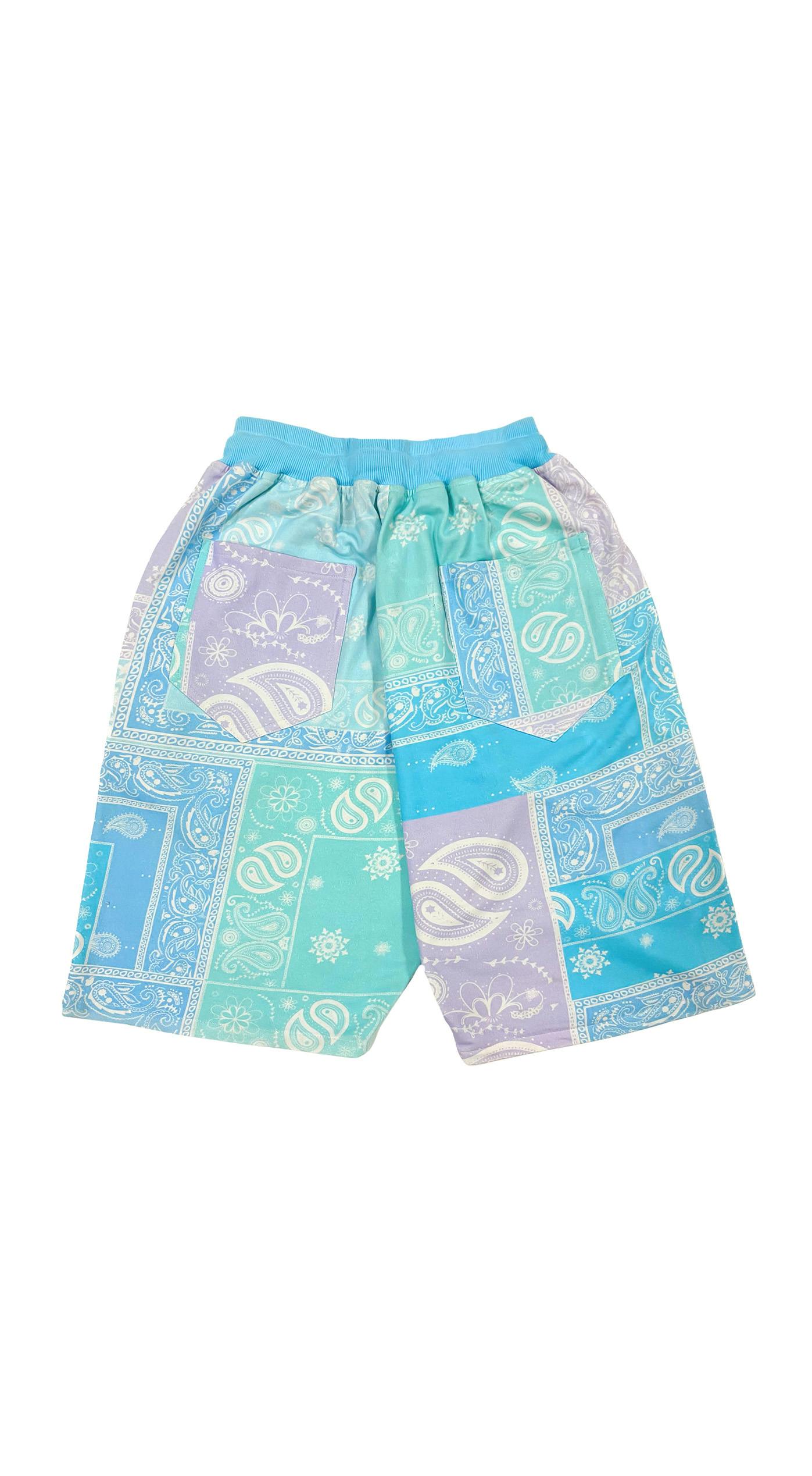 Thumbnail preview #1 for Paisley Blue Shorts